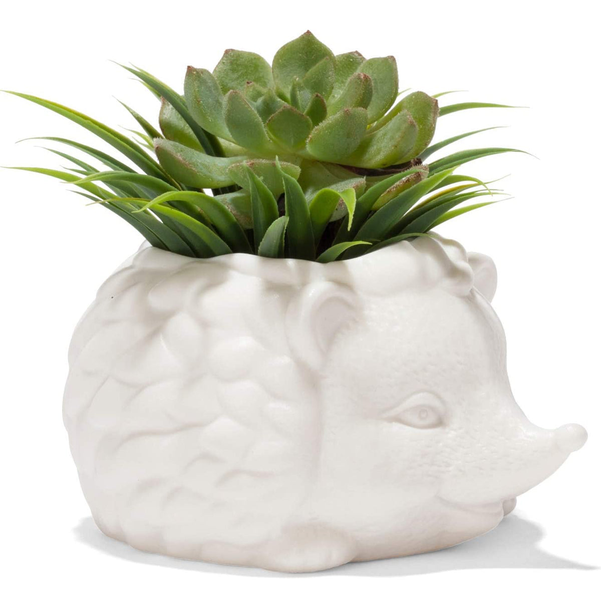 Kikkerland Hedgehog Dish Scrubber