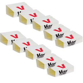 10pk Victor Hold-Fast Glue Boards - Traps For Mice & Insects