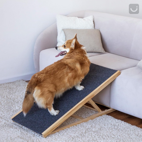 Foldable Wood Dog Ramp For Large Or Small Pets - Up To 100lbs