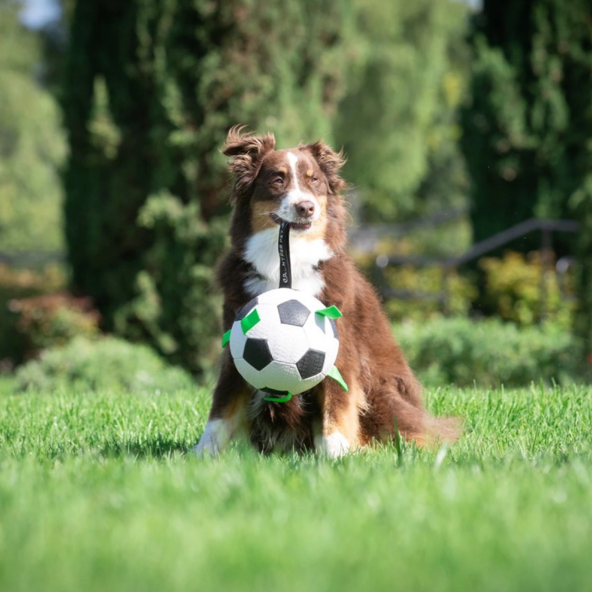 Hyper 7.5in Soccer Ball Dog Toy w/ Nylon Grab Tabs