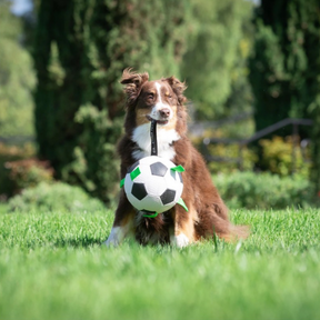 Hyper 7.5in Soccer Ball Dog Toy w/ Nylon Grab Tabs