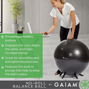 25.5" Gaiam No Roll Ergonomic Balance Ball Office Chair - With Pump