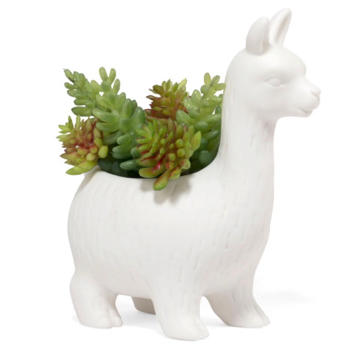 6" Porcelain Lloyd The Llama Planter By Kikkerland