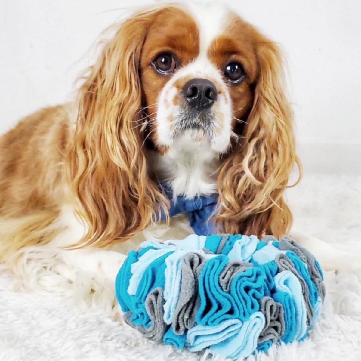 9" Hide'n Seek Snuffle Ring Dog Toy By fouFIT - Hide Treats Inside!