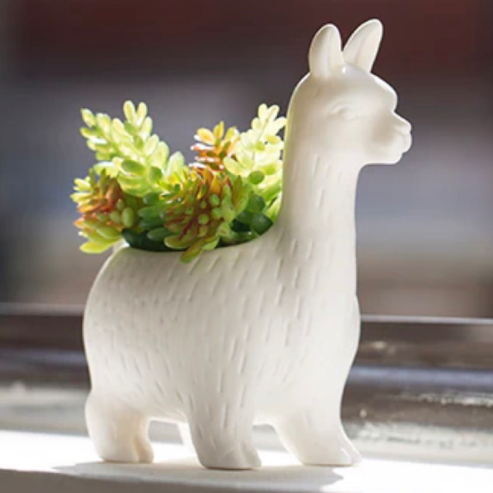 6" Porcelain Lloyd The Llama Planter By Kikkerland