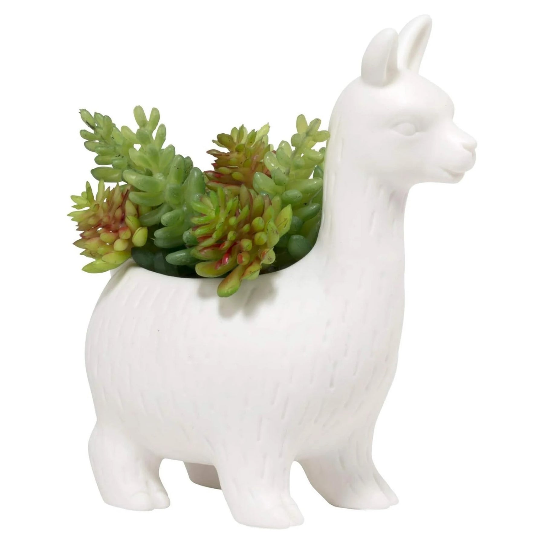 6" Porcelain Lloyd The Llama Planter By Kikkerland