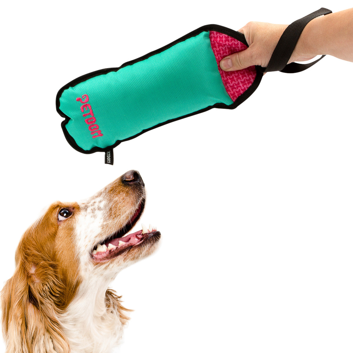 Luxury Dog Toy Molar Dog Chew Toys Dog Fashion Designer Squeak Toy Unique  Squeak Plush Bone Cup Passion for Pet Supplies